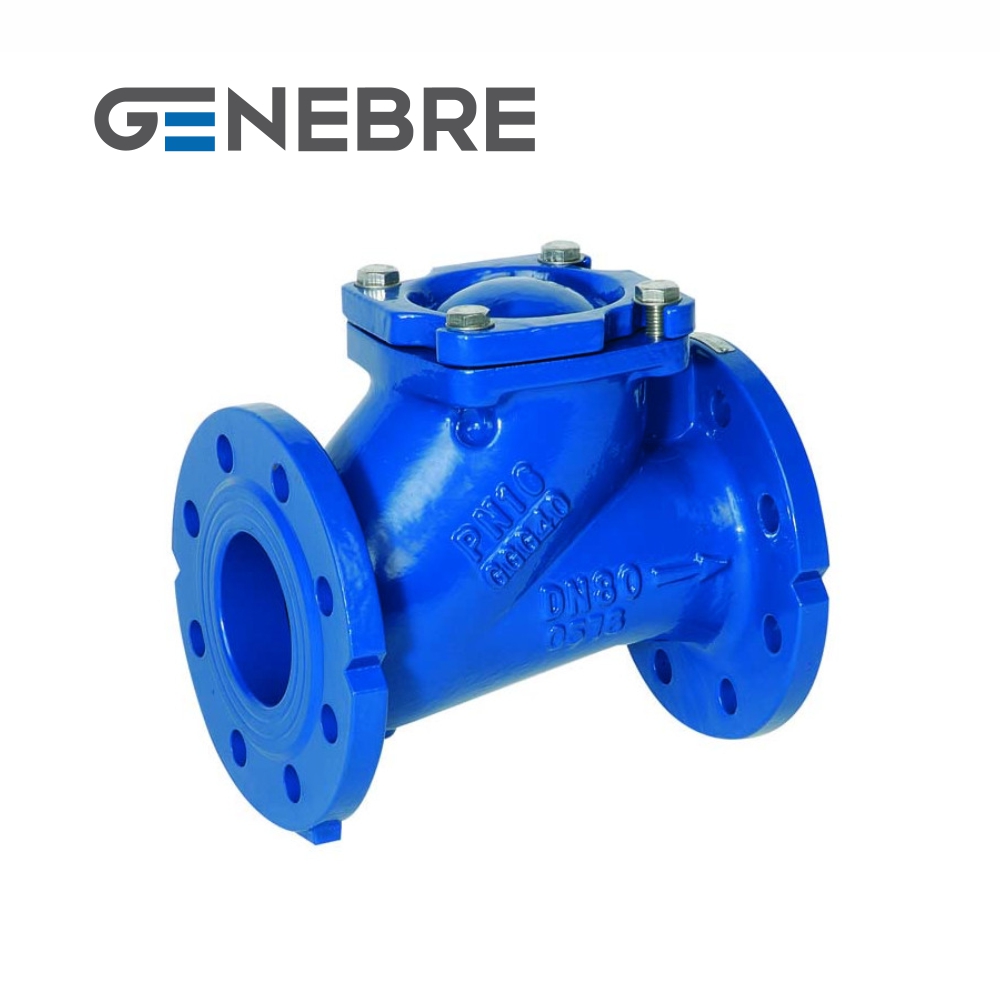 Фильтр фланцевый механической очистки Genebre (Испания) чугунный, «Y» типа